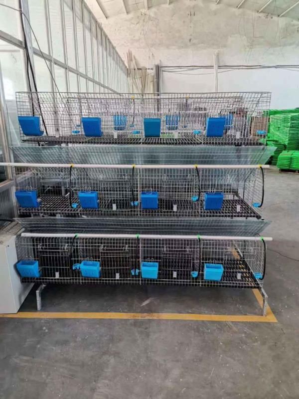 industrial breeding rabbit cage factory 3 or 4 layer/Commercial rabbit cage/galvanized welded mesh cage for rabbit