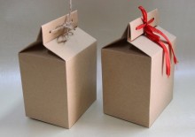 no printing brown rigid craft paper bag