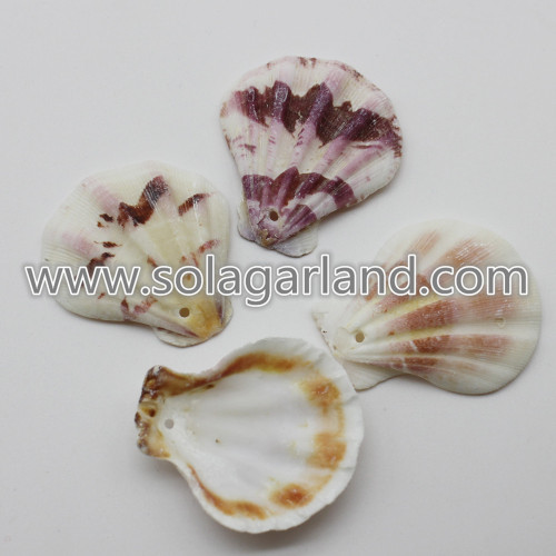 28-36MM Perlas de decoración de concha natural mixta Perlas sueltas de concha marina