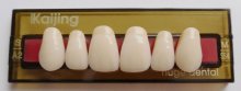 acrylic teeth -- KAIJING SS4