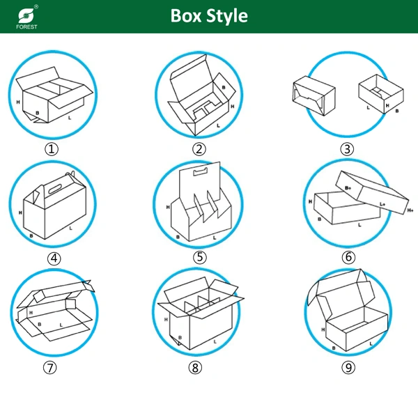 Customize Carton Packaging Box Gift Box for Shipping