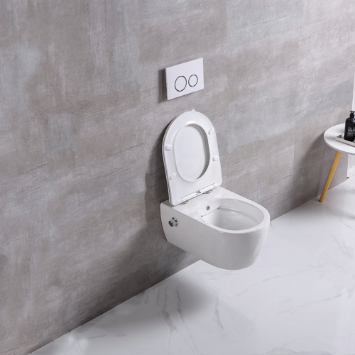 Swiss Toilet No Seat Wall Hanging Toilet With Bidet Enema NozzleToilet