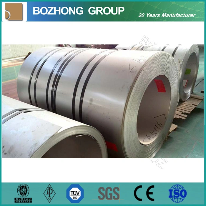 Galvanized Steel Duplex 2205 Stainless Steel Coil