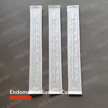 Cannula ginecologica cannula endo curette