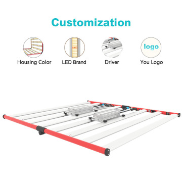 800W Veg Bloom Hydroponic LM301B LUMIÈRES DE CLUS INDOOR