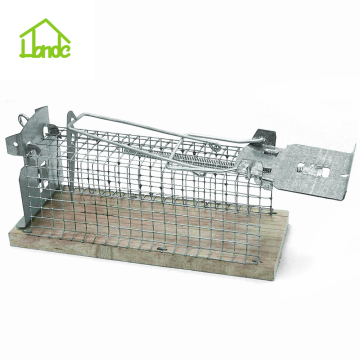 Humane Cage Traps for Mice