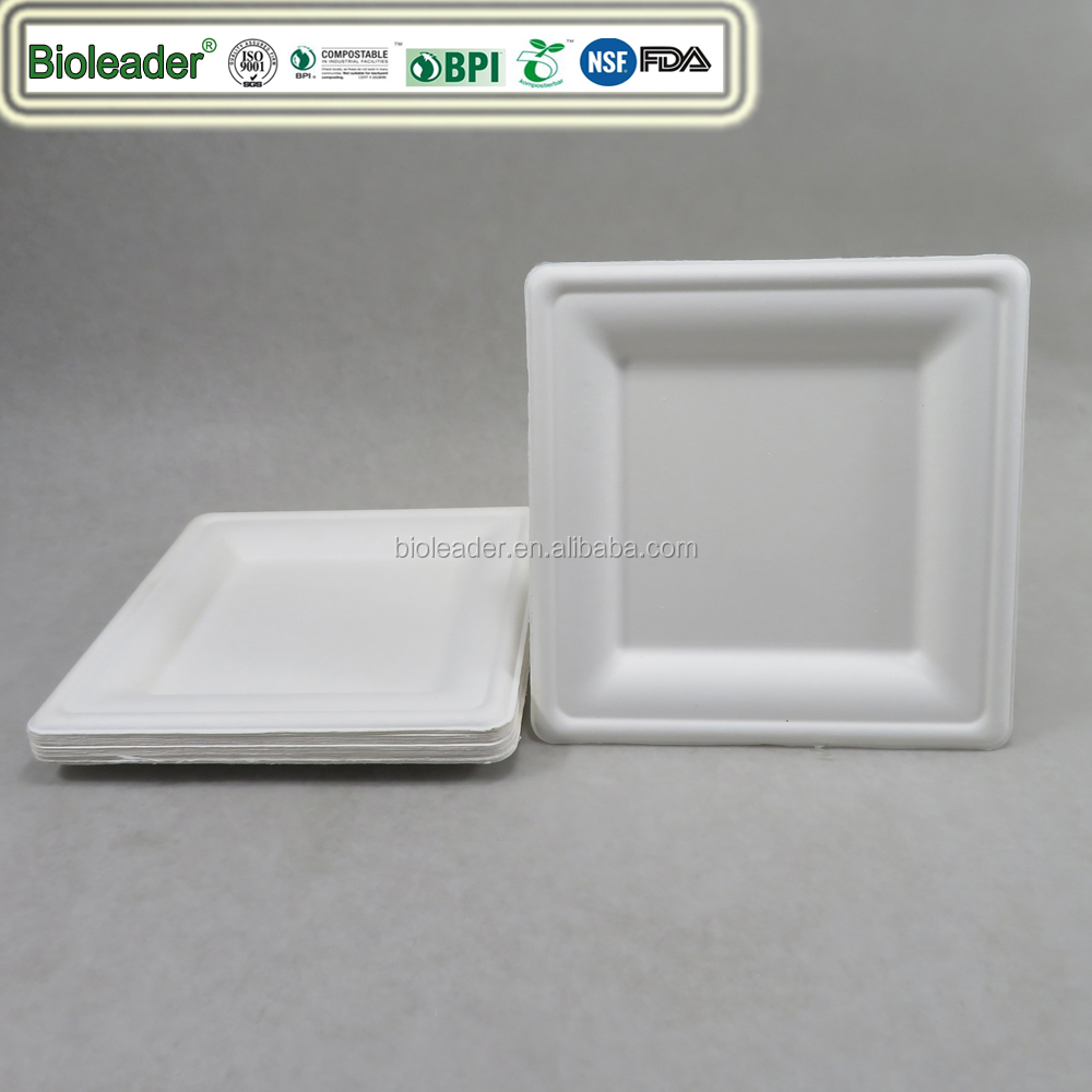 Biodegradable sugarcane square restaurant plate