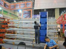 Automatic Layer Cages Jinfeng