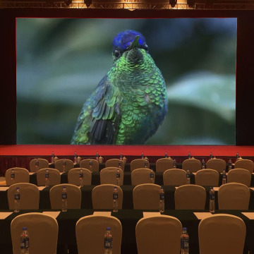 Electronic Flexible Led Screen Display Price