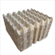 Customized Blister Plastic and Paper Pulp Egg Trays for Chicken Eggs