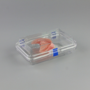 Plastic Clear Storage Membrane Box With Hinged Lid