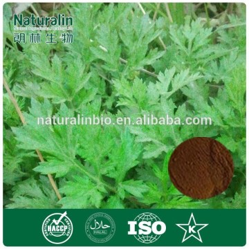 Argy wormwood leaf extract powder