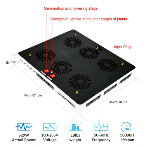 플리인 3000W 코브가 가벼운 농업을 재배합니다