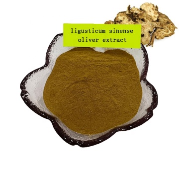 100% pure natural ligusticum sinense oliver extract  powder/ligusticum jeholense extract