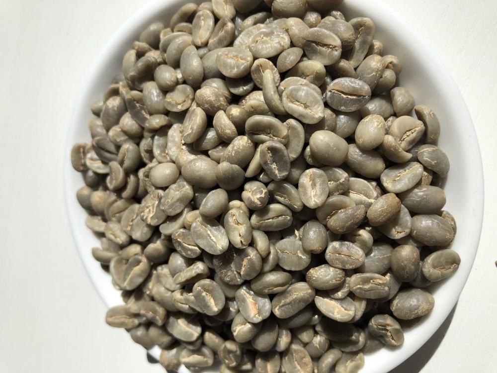 Grain de café vert Arabica de qualité AA