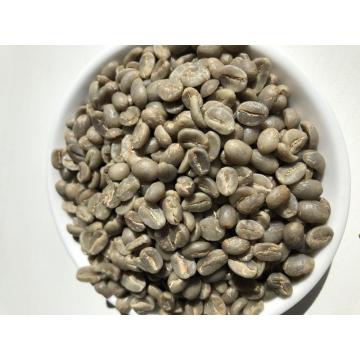 Grain de café vert Arabica de qualité AA