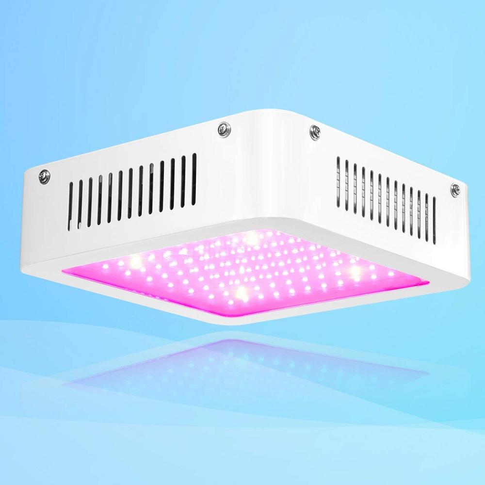 Led rośnie światła dla Amazon