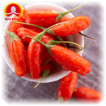 Red Power QIZITO wolfberry dried 10kg chinese wolfberry ningxia chinese red wolfberry
