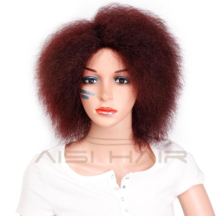 Aisi Hair High temperature Fiber Fluffy Short Wigs Afro Kinky Curly Cosplay Wigs for American Africans