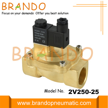 2V250-25 1'' Diaphragm Piloted Brass Solenoid Valve 24V