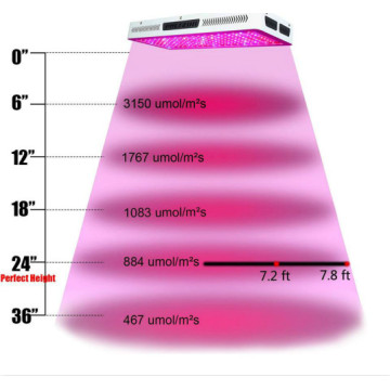 Las mejores reseñas de luces de cultivo LED de espectro completo