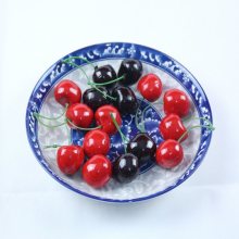 Blue and White Porcelain Plate / Tableware