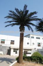 artificial plant ,artificial Date palm