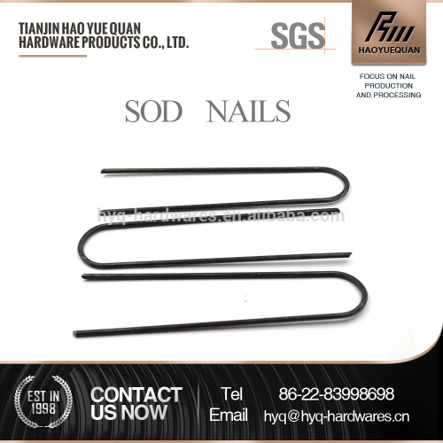 Professional grade sod nail 100 garden staples sod nail