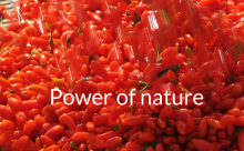 Fruit Goji Raw Juice