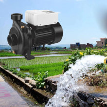 Solar-Powered Surface Water Pumps for Land Irrigation