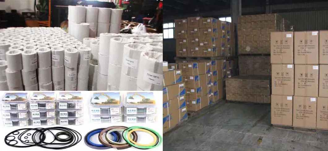 Custom Tc/Sc/Tg NBR FKM FPM Rubber Oil Seal