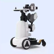 Standing Electric Wheel Chair