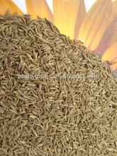 Cumin