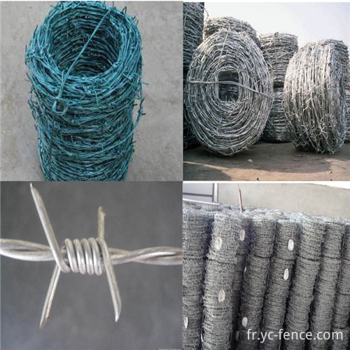 fil barbelé barbed wire