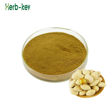 Hot Sale Natural Ginkgo Biloba Extract