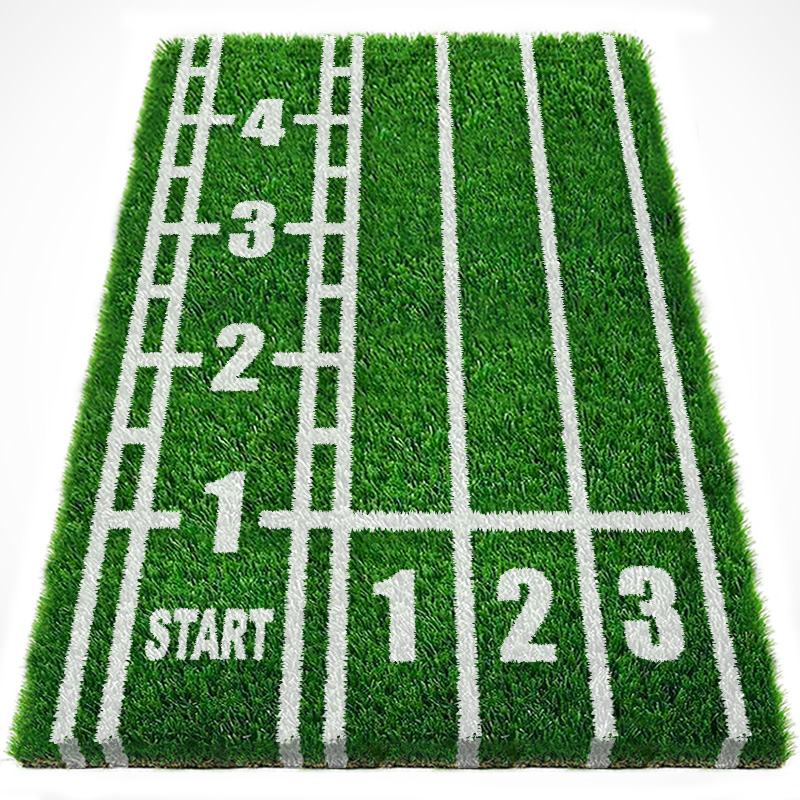 Gym Sled Track Grass Artificial Turf 6 Jpg