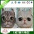 cute cat face wholesale chain bag / cat 3D lady hand bag