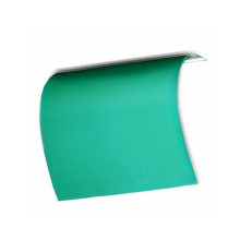 Negative CTCP Plate Search