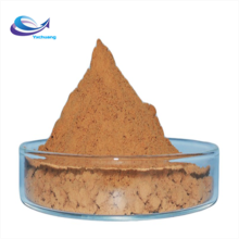 High Grade bladderwrack extract/bladderwrack powder