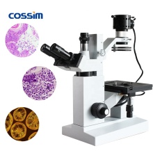 BLD-1A Medical Lab Microscopes for Culture Vessel Research