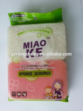 kitchen sponge