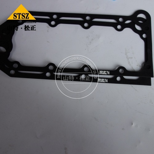 Gasket3921926