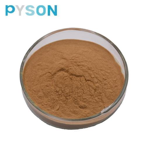 lucidum extract порошок экстракта грибов рейши