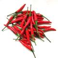 Capsaicin-Extrakt Capsicin 98% Pulver-Pfefferspray-Material