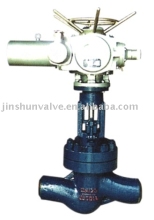 API globe valve(cast iron globe valve)(forged steel globe valve)