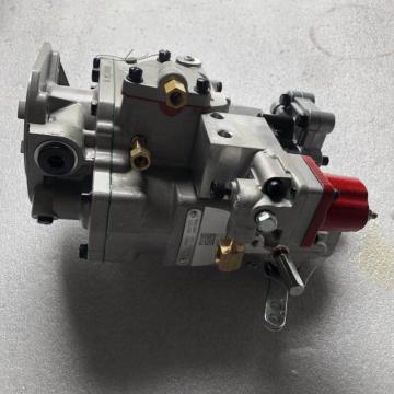 NTA855 4061206 Fuel Injection Pump CUMMINS Cummins Engine Parts