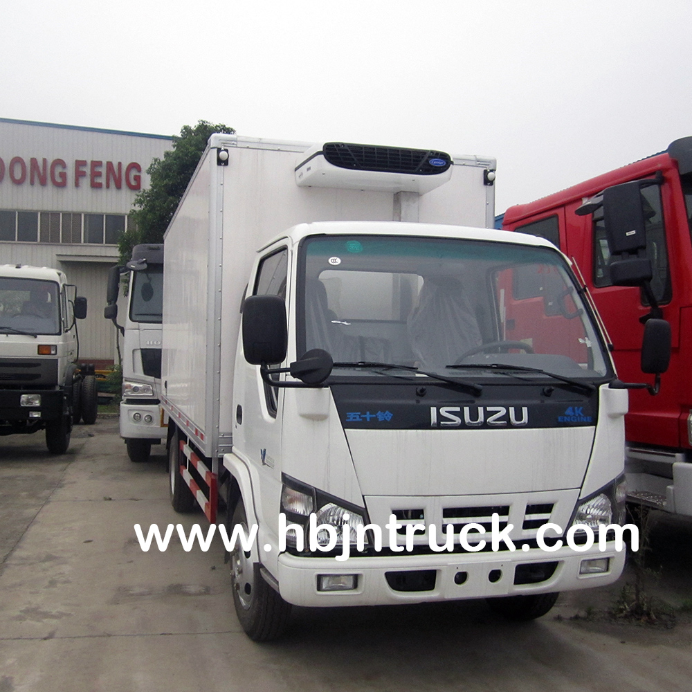 Camión congelador Isuzu Isuzu Freezer Lorry
