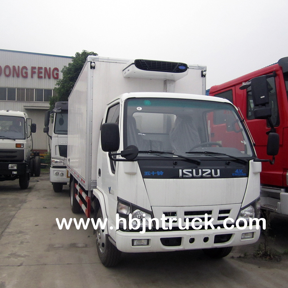 Isuzu Freezer Lorry