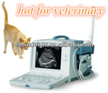 vet ultrasonic diagnostic system