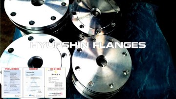 BS4504 DIN BSPT Screwed Thread Flanges